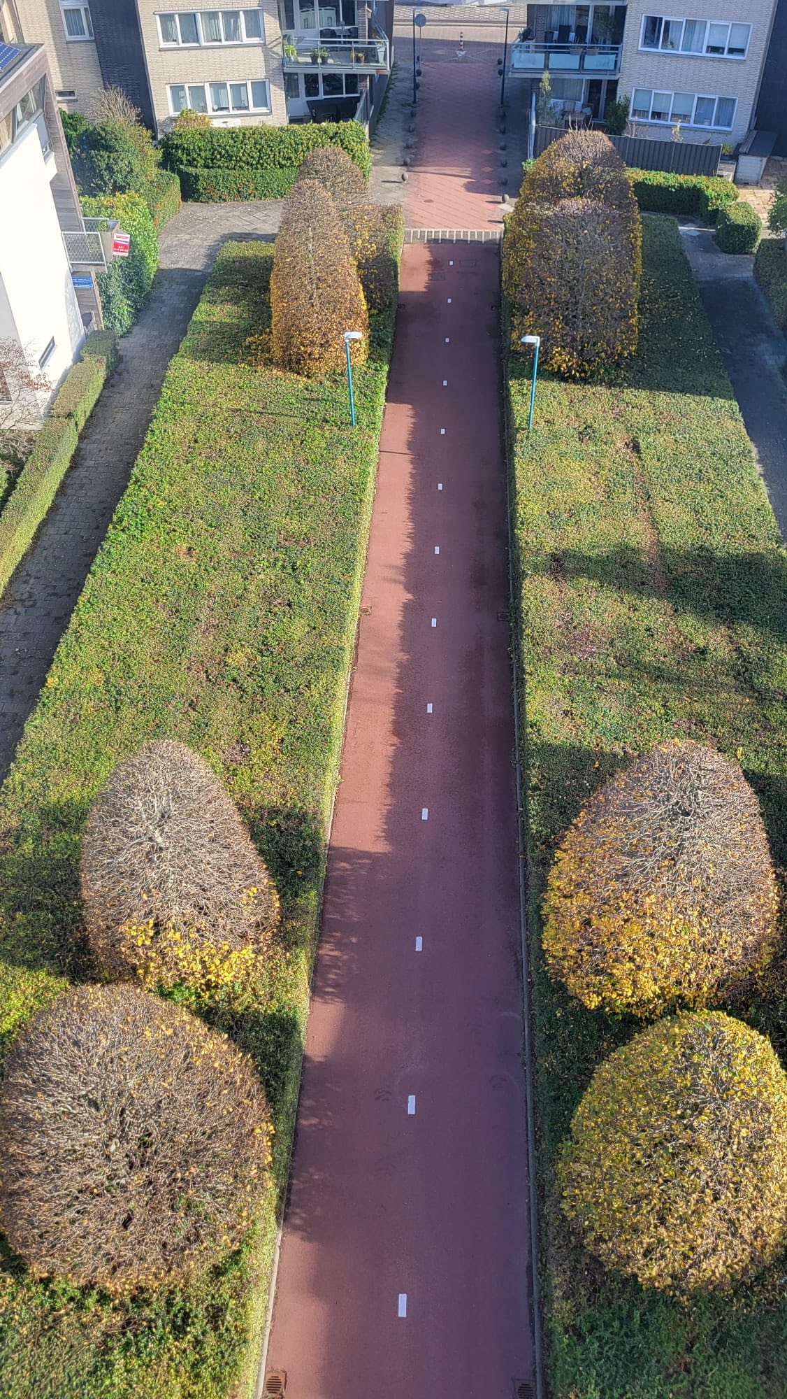 Vormbomen Oegstgeest - Afbeelding 1