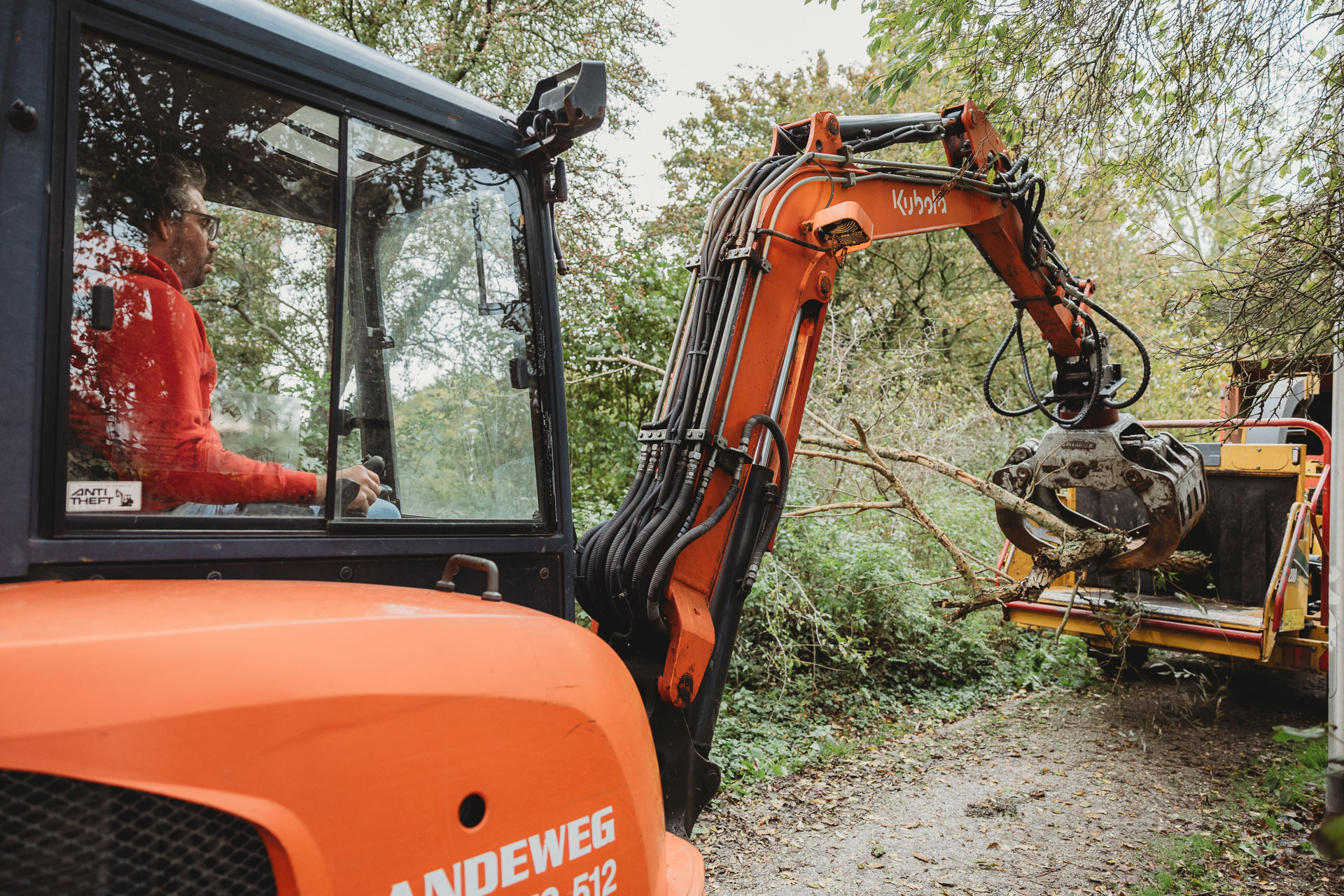 Rooien & Verwijderen